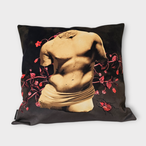 Housse de coussin Bèn-Esta – Collection Antika