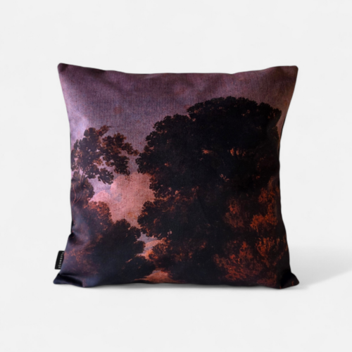 Housse de coussin Bèn-Esta – Collection Bloom