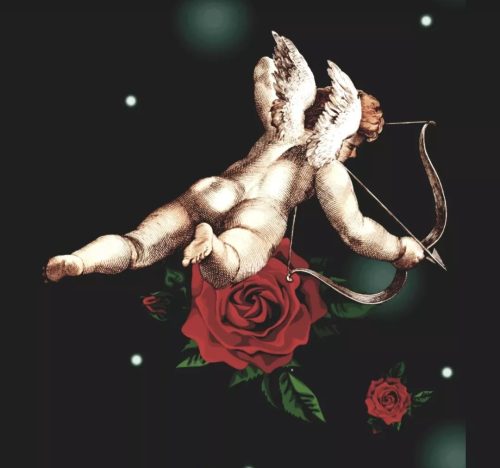 Screenshot_20231130_202337_Instagram(1)